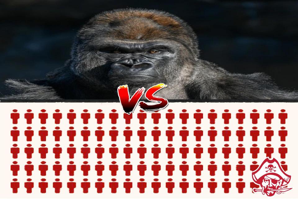 Graphic by Josh Deligero '26