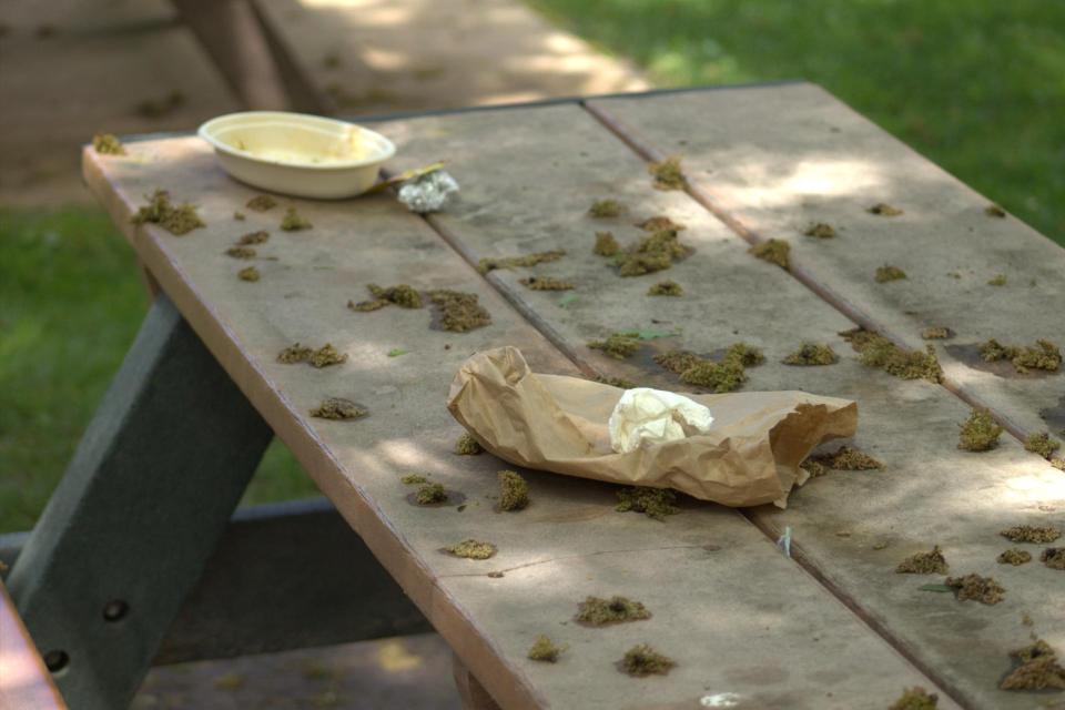 Photo by Jed Giza '26